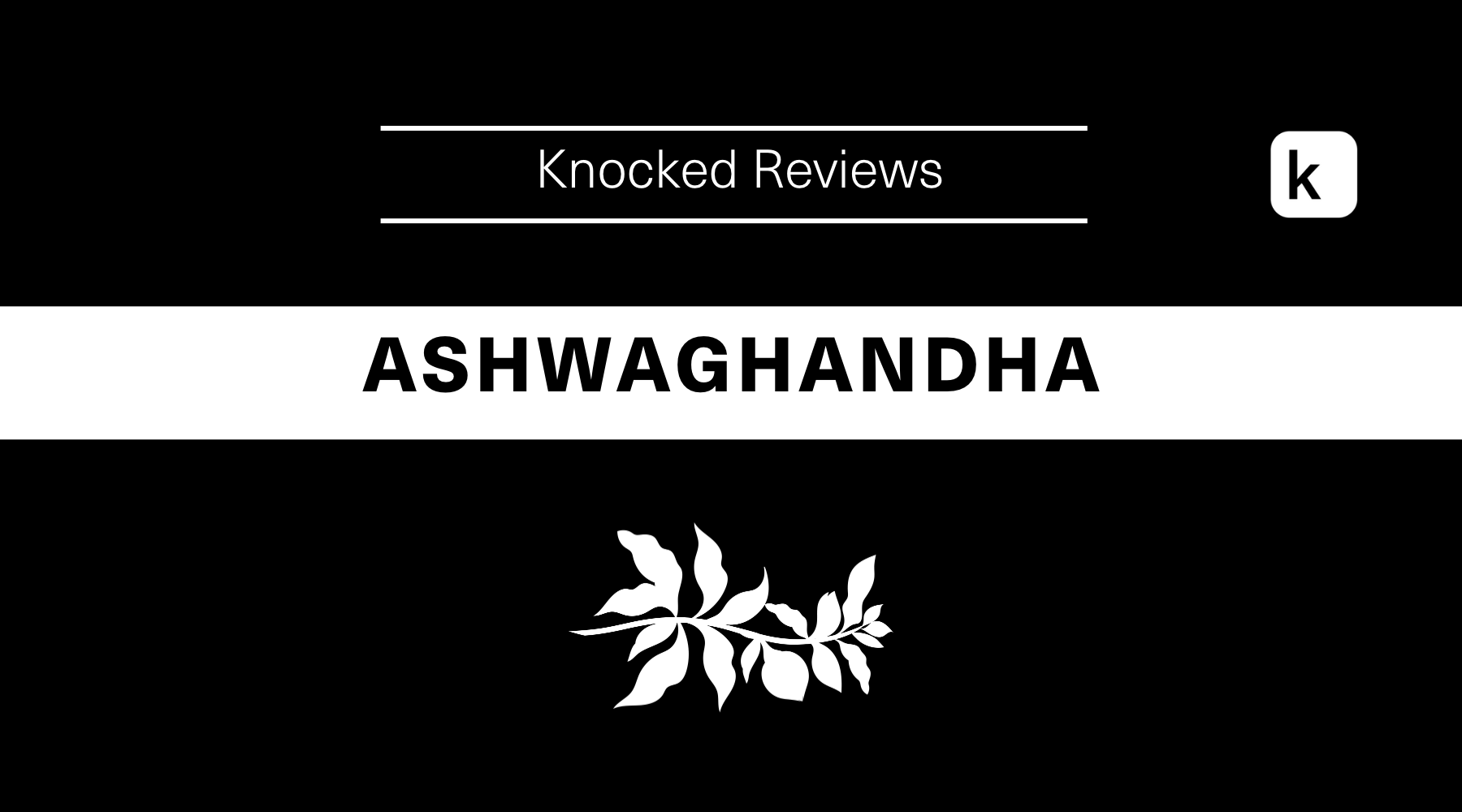 Reviewing Sleep Supplement Ingredients: Ashwagandha